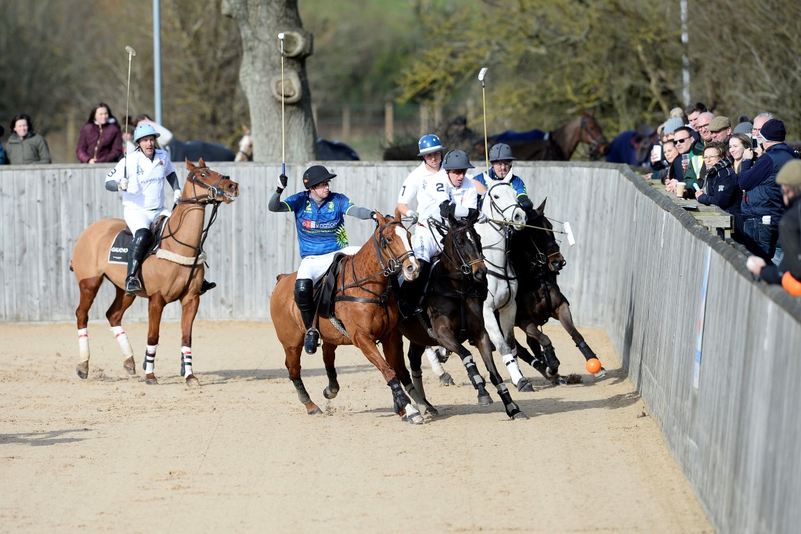 arena polo