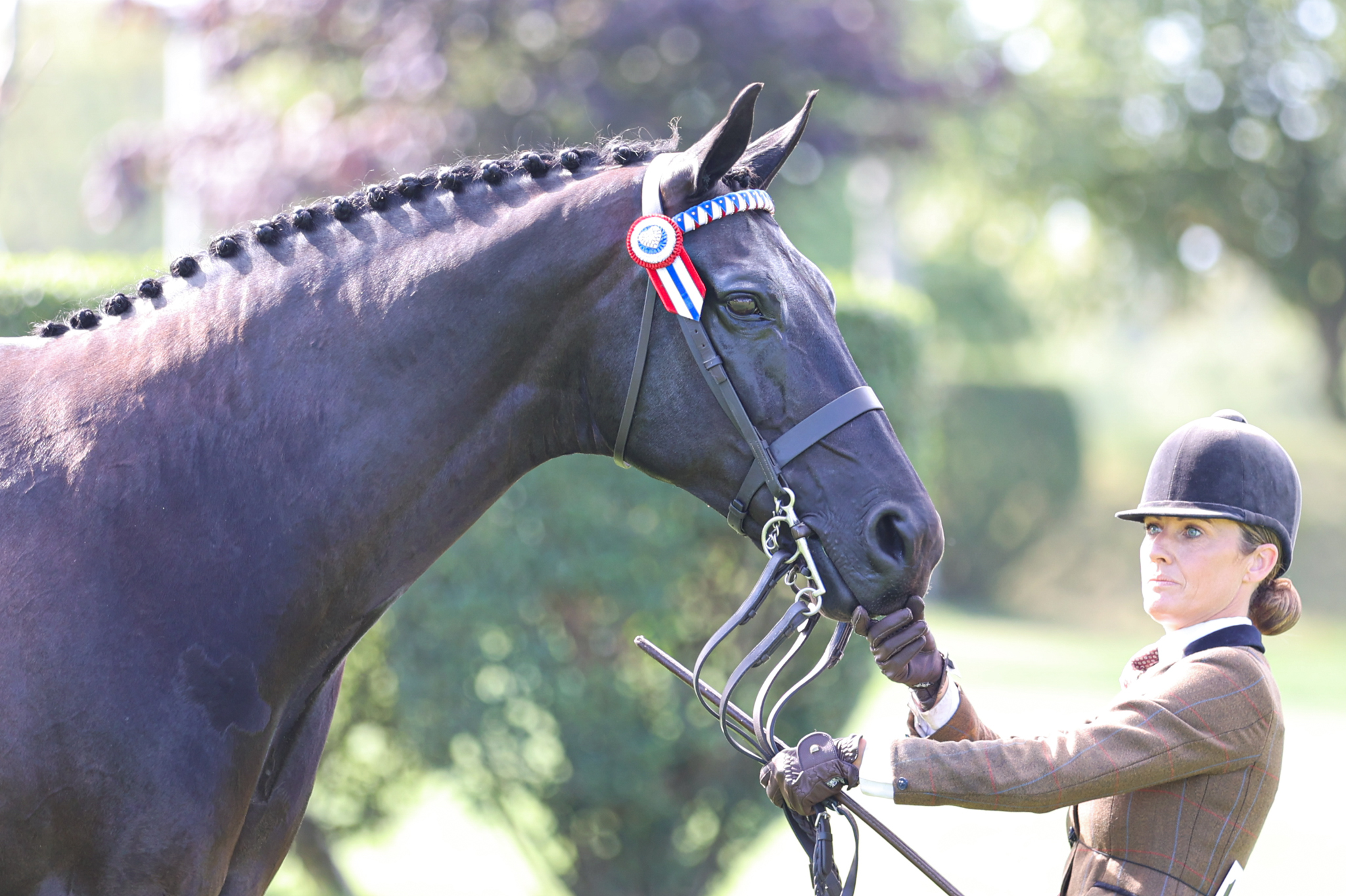 The Longines Royal International Horse Show